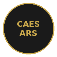 Caesars Windsor logo